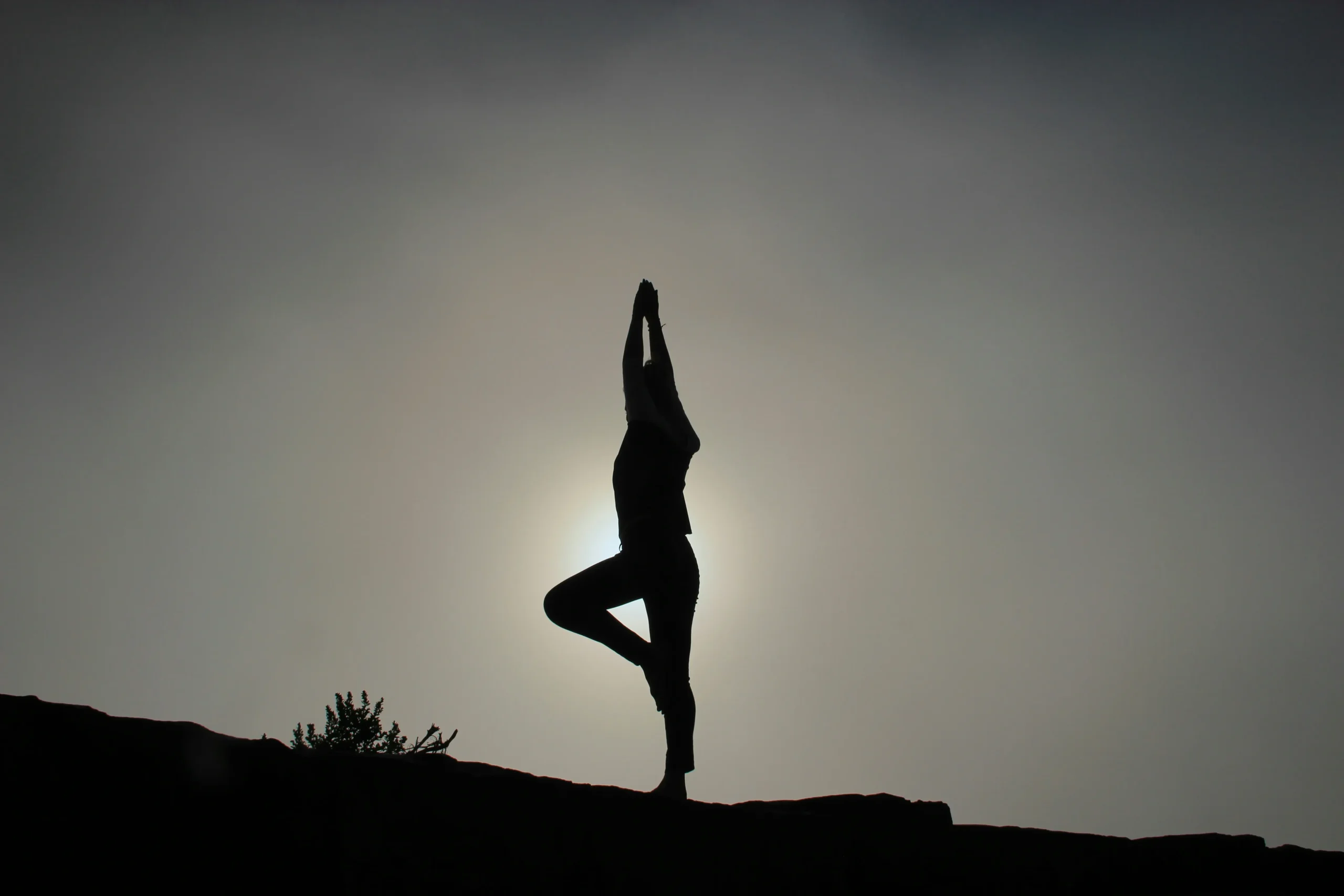 Yoga Posturale